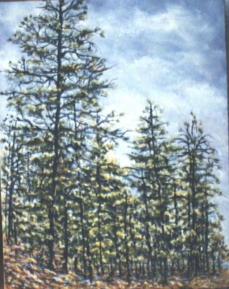 Painting 1688 Lakeside Pines (oil)