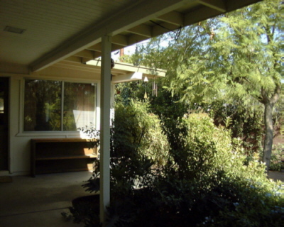 back yard