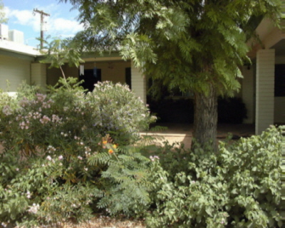 front yard