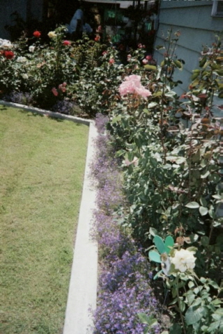 view of back yard, one of several
