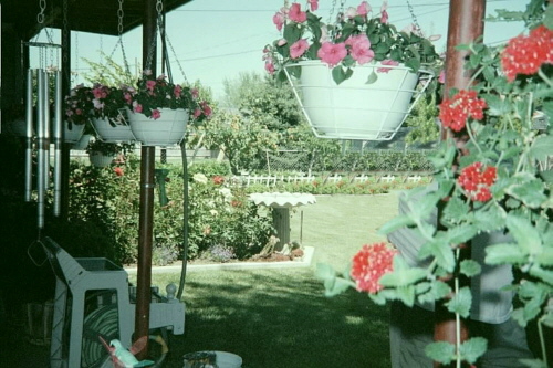 back patio and yard, another view