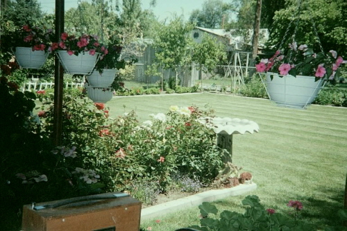 another view of back yard
