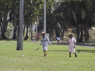 Cleaning the public area.