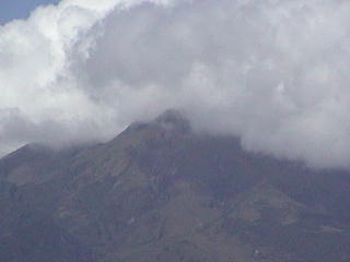 Mt Pelee valcano had one survivor in 1902 who was locked up in jail. but 30,000 lost their lives.