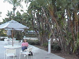 Poolside Westin Hotel Ft. Lauderdale, FL, USA