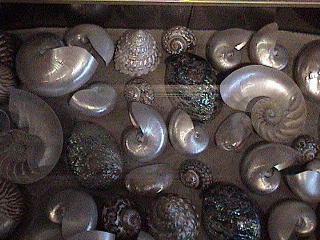 The shell table