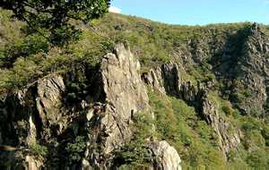 Landschaft