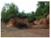 Near the town called Economy, we found a beautiful red shore on the Bay of Fundy's Minas Basin