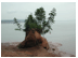 A large red island coming out of the water as tide goes out - tide is less than half-way out at this point