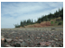 Neat view of the shore taken by placing the camera on the ground