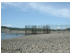 A fisherman's weir set out into the water at very low tide