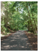A road that was closed to people in Victoria park due to fire hazards in the dry summer of 2001