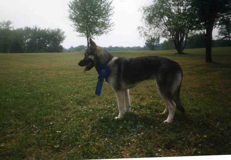 Gypsy -- 7 months