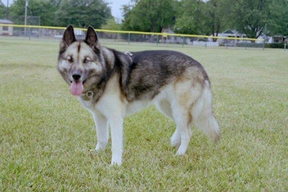 Gypsy -- 10 years