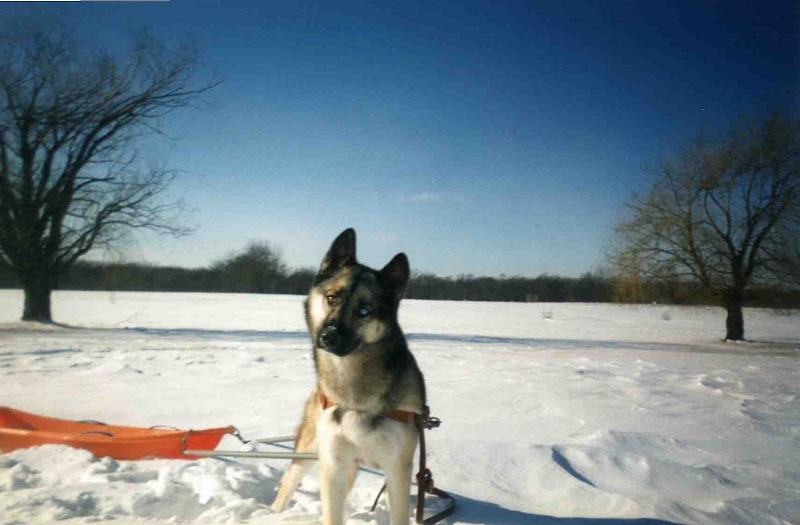 Gypsy -- 2 years
