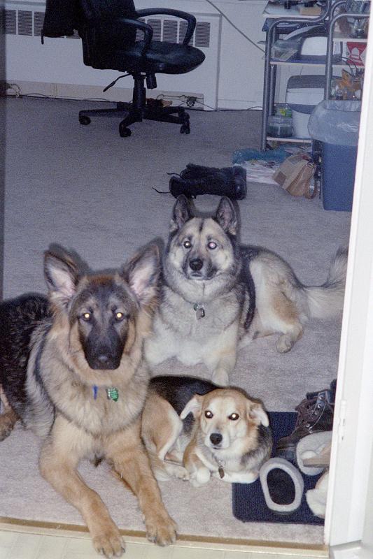 Missy -- 6 years