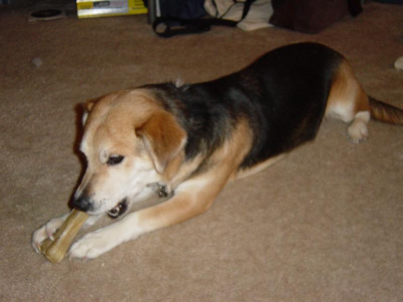 Missy -- 6 years