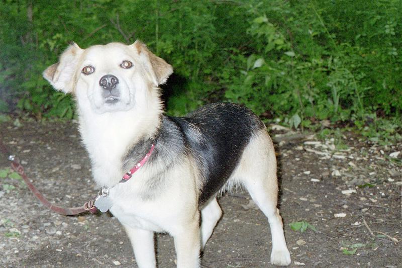 Missy -- 6 years