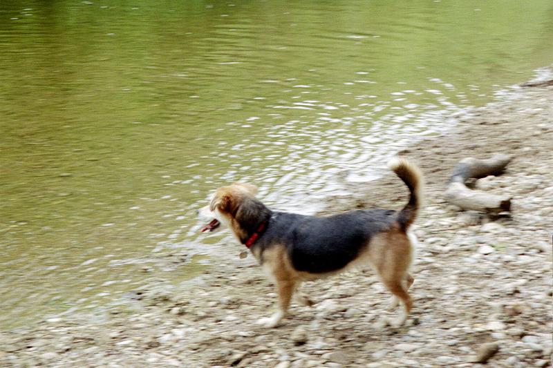 Missy -- 5 years