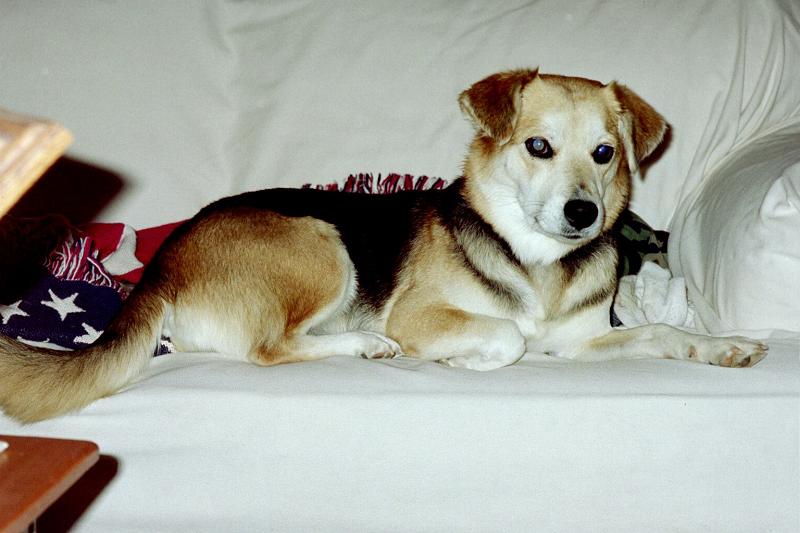 Missy -- 5 years