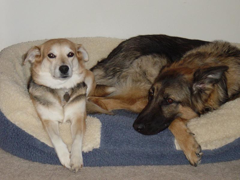 Missy -- 6 years