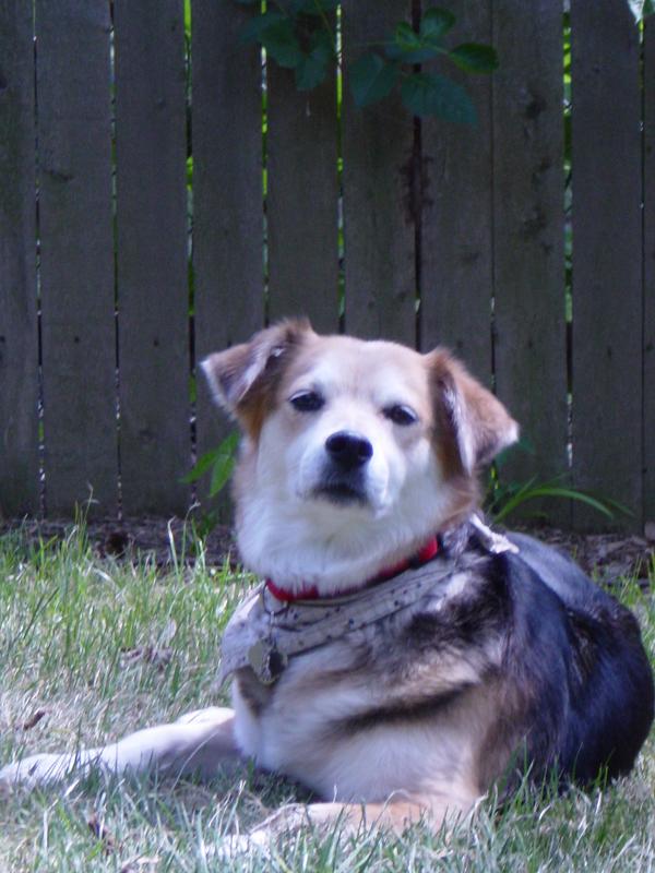 Missy -- 7 years