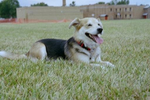 Missy -- 7 years