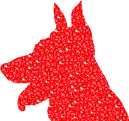 - German Shepherd -