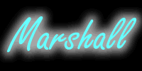 Marshall Amps.com
