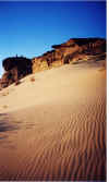 Dune near Medain Saleh at sunrise