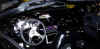 black eclipse inside.jpg (55070 bytes)
