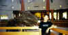 me dino.jpg (55666 bytes)