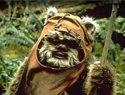 Wicket