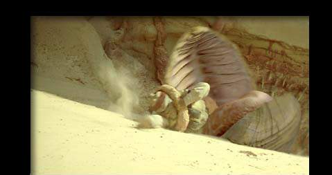 [ Sarlacc grabbing henchman ]