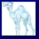[drawn in art class]