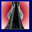 [Costume Design Peice]