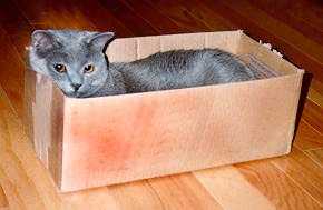Jedi crammed in a box