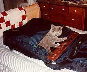 Jedi in the suitcase