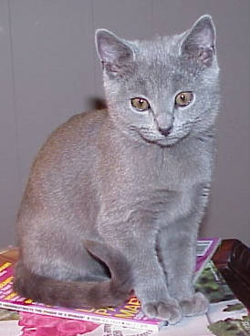 Beautiful Pippa