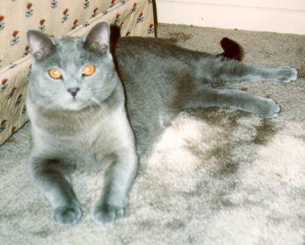 Closeup near sofa