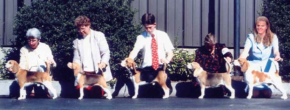 AnyHoundColor.jpg (34548 bytes)