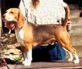 lilred.jpg (69298 bytes)