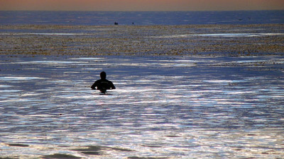 102_0068_web