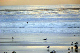102_0056_web
