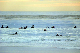 102_0057_web