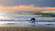 102_0072_web