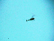 DCAM0036