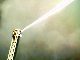 DCAM0039