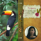 jk_Tropics