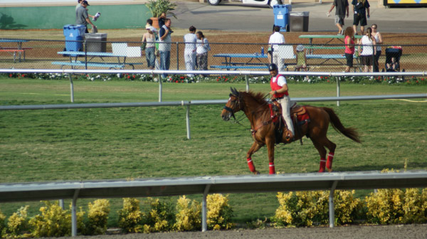 DSC00320